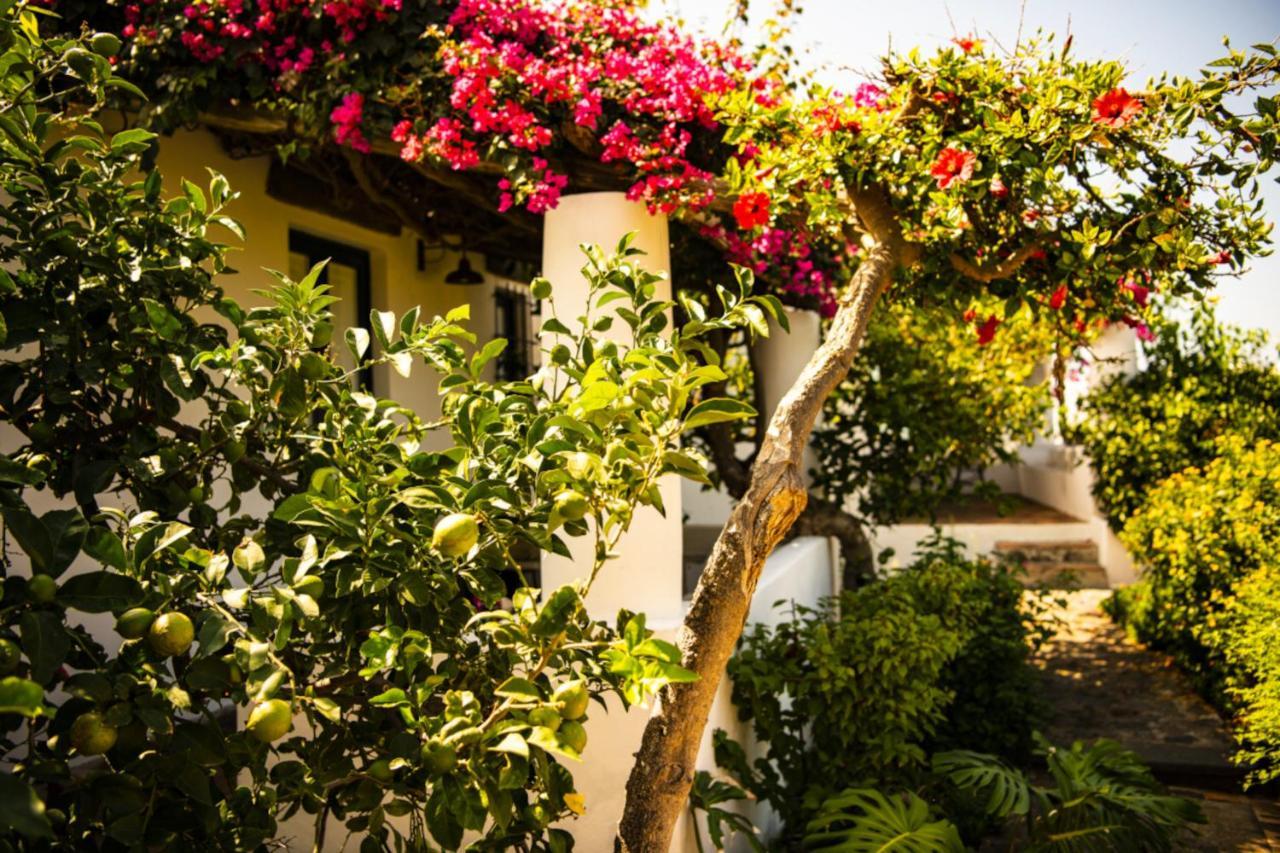 Hotel Signum Malfa  Exterior foto